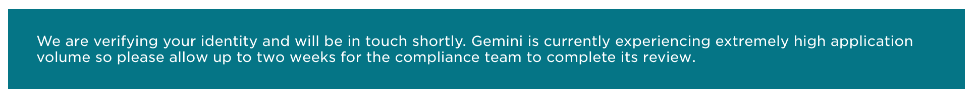 gemini-verification-warning
