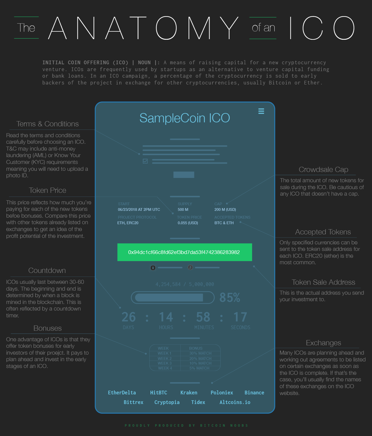 anatomy-of-ico-infographic-v3
